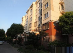 �V�����w�\Է