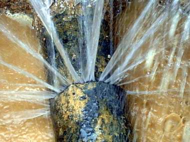 �ܾW(w��ng)©ˮ���ܕ�������ЩӰ���