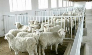 �F(xi��n)���B(y��ng)ֳ�������x����ι�ˮ�O(sh��)����